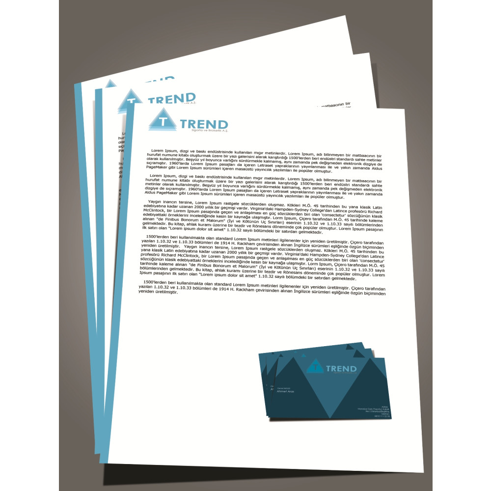 ETKİLEYİCİ VE MODERN BİR LOGO İSTİYORUZ