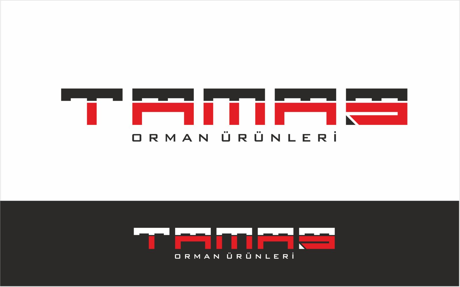 Tasarlayan ErcanH-Avrupa standardında modern Palet Logosu