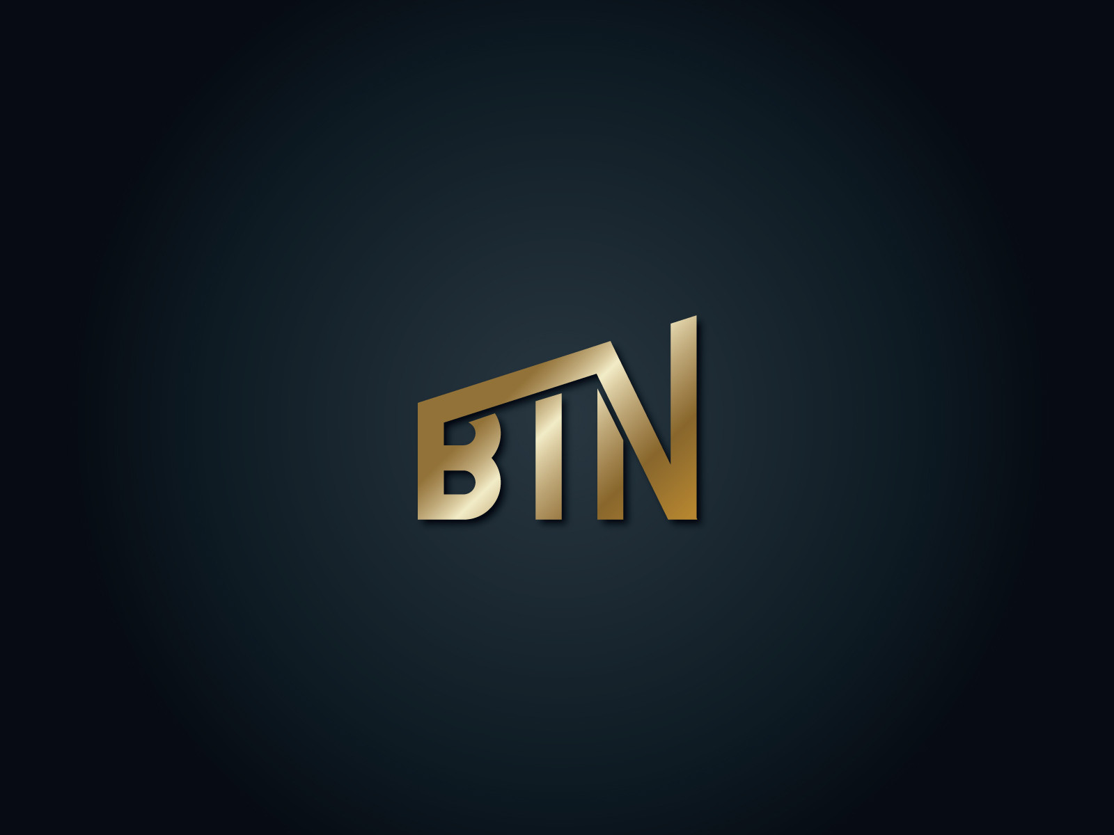 Tasarlayan DesignerA-BTN YATIRIM A.Ş. LOGO TASARIM