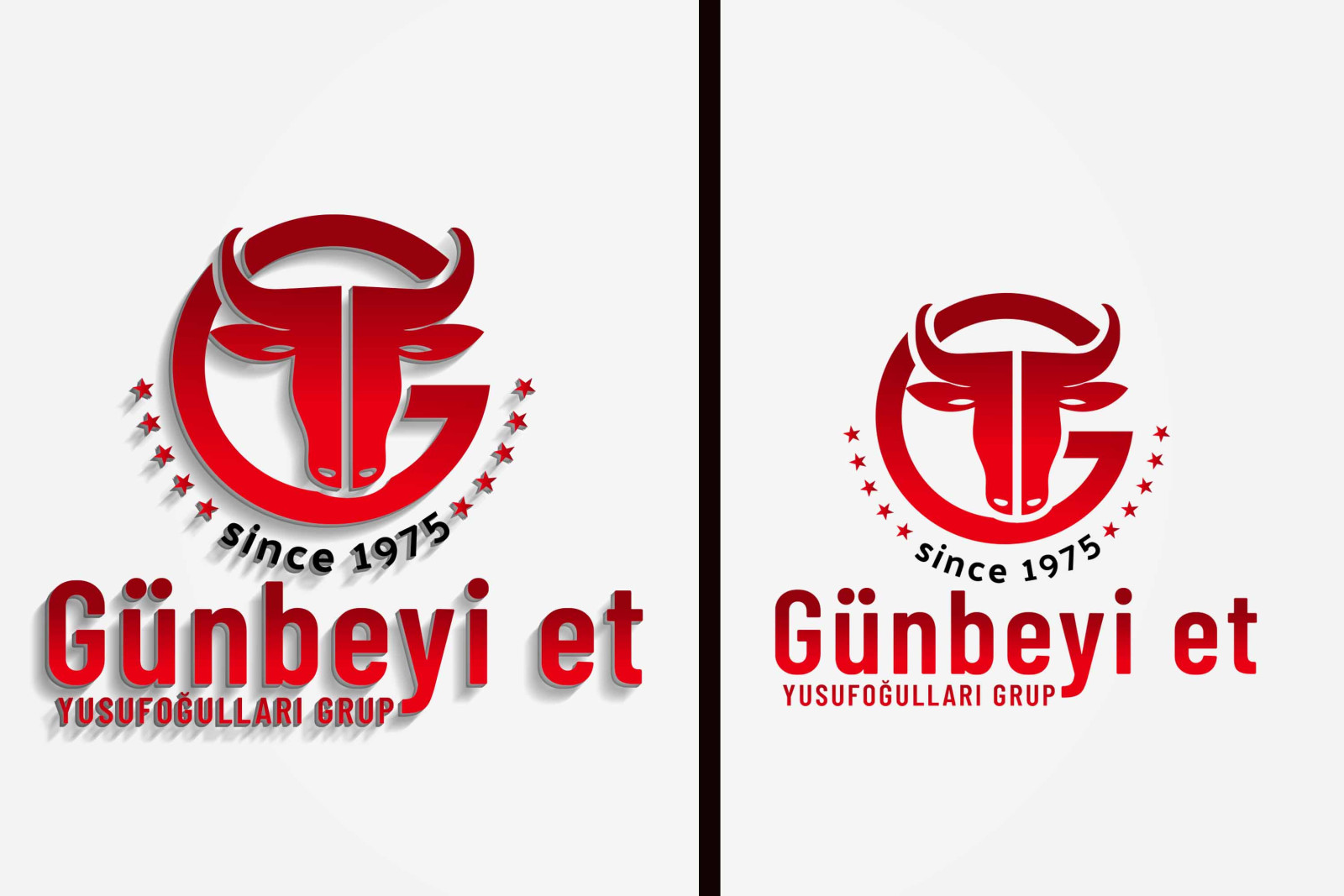 Tasarlayan kuzfe35-Firma logosu 