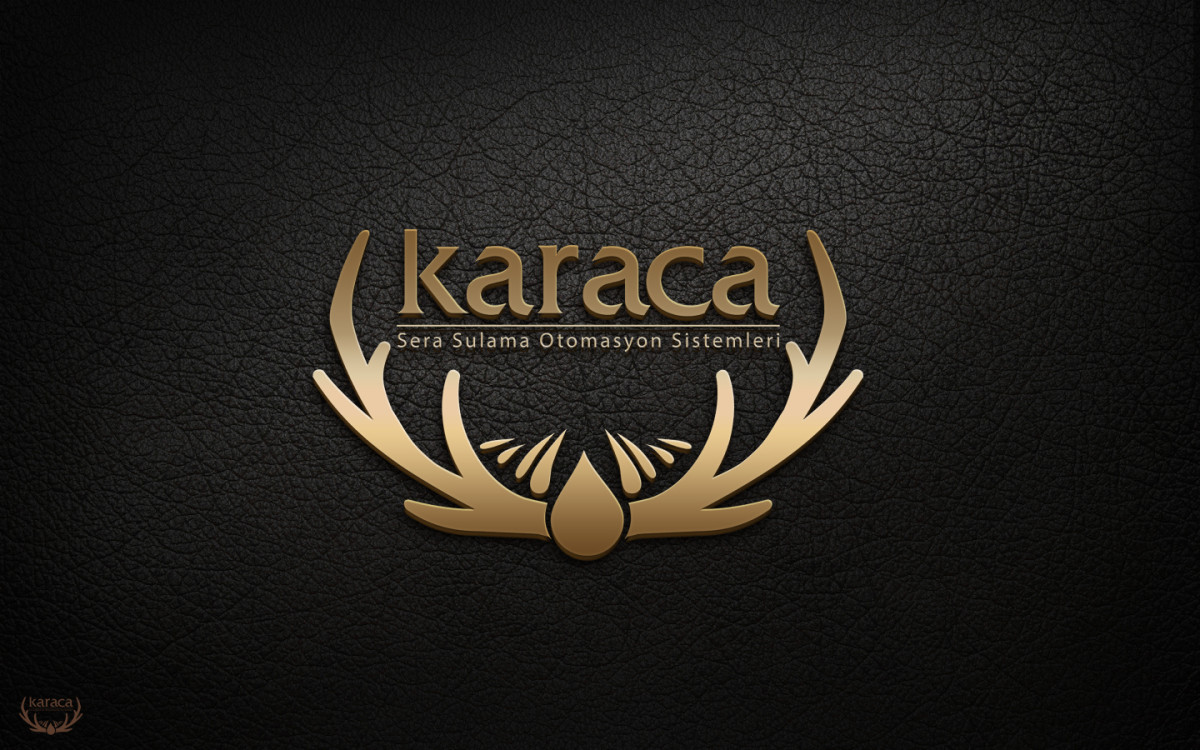 Tasarlayan reng-SADE VE ETKİLİ LOGO ARIYORUZ 