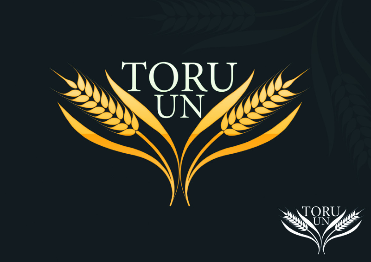 Tasarlayan bitlikedipisfare-UN FABRİKAMIZ İÇİN LOGO ARIYORUZ