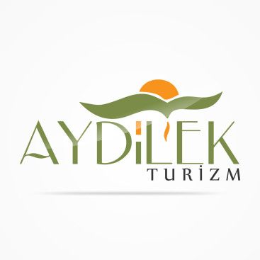 TURİZM TAŞIMA FİRMAMIZA LOGO VE KURUMSAL yarışmasına tasarımcı Kızılelma_03 tarafından sunulan  tasarım 