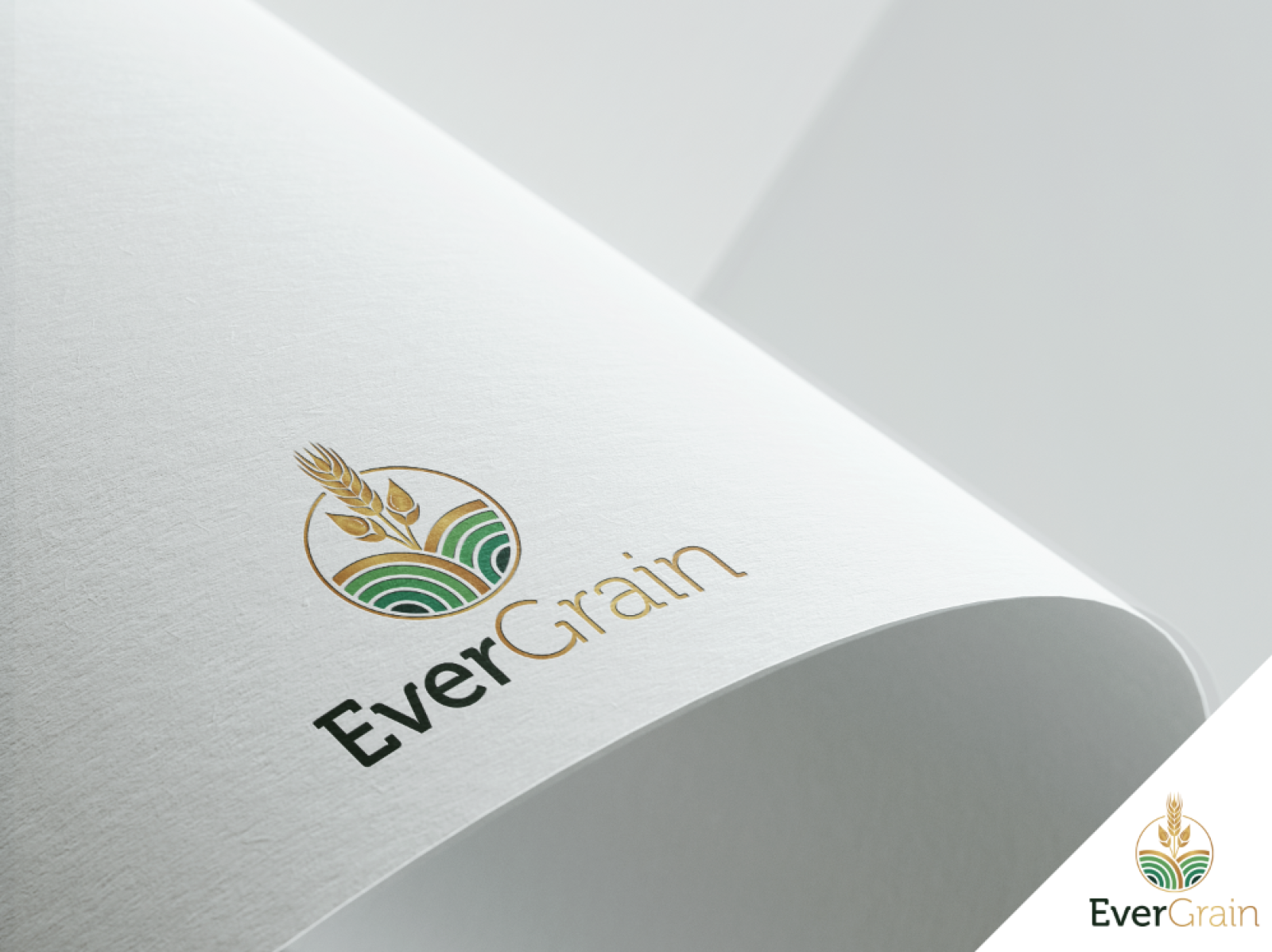 Tasarlayan GCLONR-EverGrain LLC
