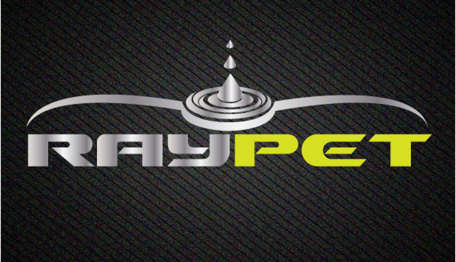 Tasarlayan H@YDEMİR-RAYPET LOGO YARIŞMASI