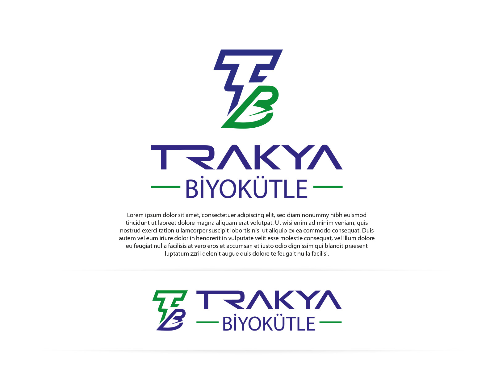 Tasarlayan Etrah™-FİRMA LOGO TASARIMI