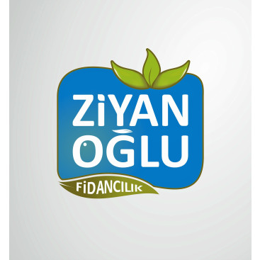 GÜZEL,ESTETİK VE USTACA YAPILMIŞ yarışmasına tasarımcı PΛЯROT™ tarafından sunulan  tasarım 