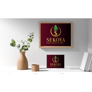 Lüks ahşap yarışmasına tasarımcı izdüsümü tarafından sunulan  tasarım 