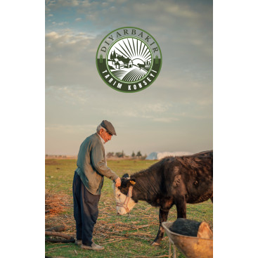 Diyarbakır Tarım Konseyi Logosu yarışmasına tasarımcı Tora Graphic tarafından sunulan  tasarım 