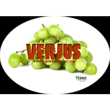 Verjus yarışmasına tasarımcı ardagundogdu tarafından sunulan  tasarım 