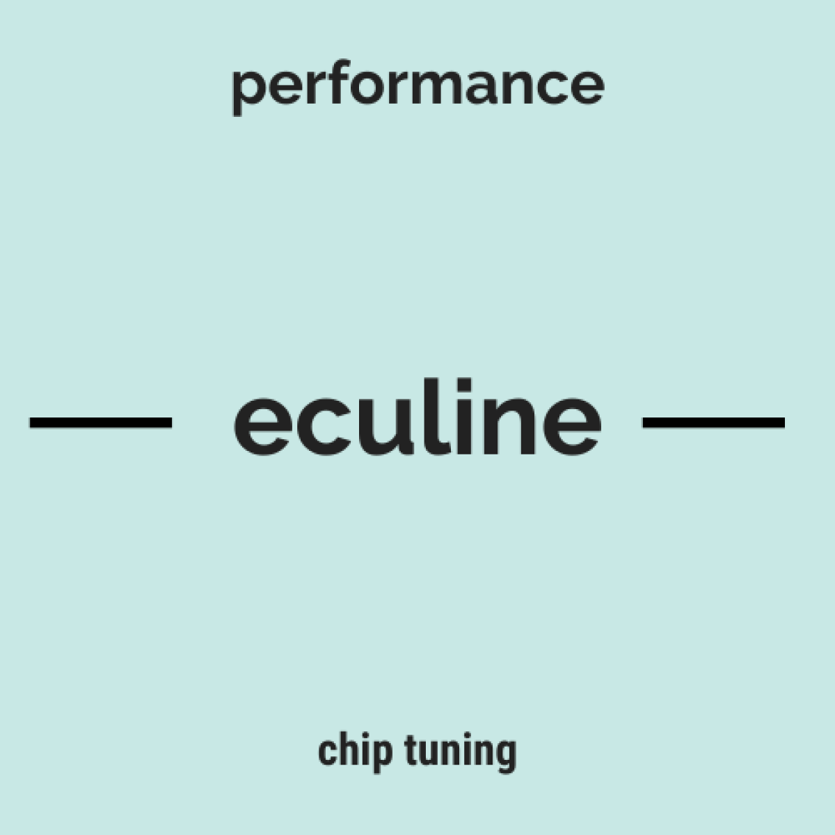 Tasarlayan tugberkbilgi-Ecu performance and Chip Tuning