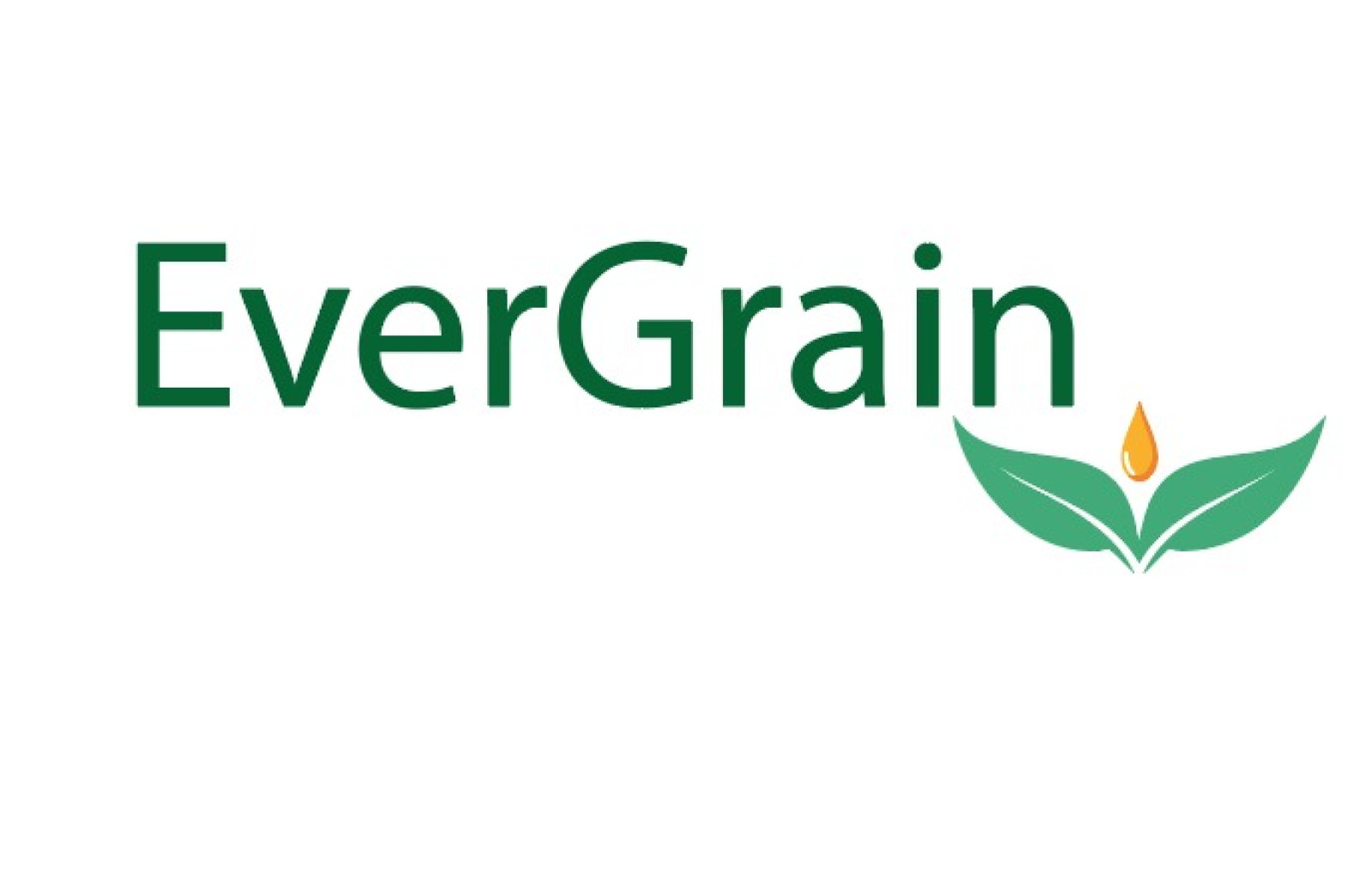 Tasarlayan mbeyzap-EverGrain LLC