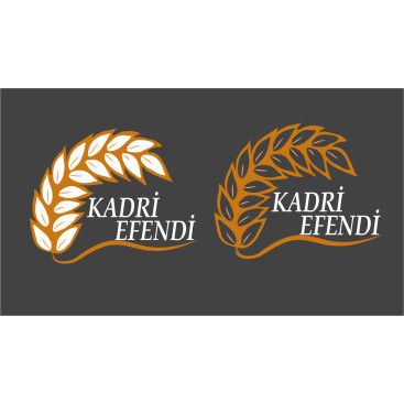 Kadri efendi yarışmasına tasarımcı Enes Çağatay tarafından sunulan  tasarım 
