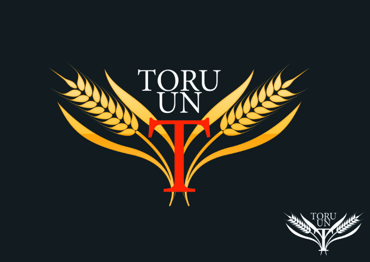 Tasarlayan bitlikedipisfare-UN FABRİKAMIZ İÇİN LOGO ARIYORUZ