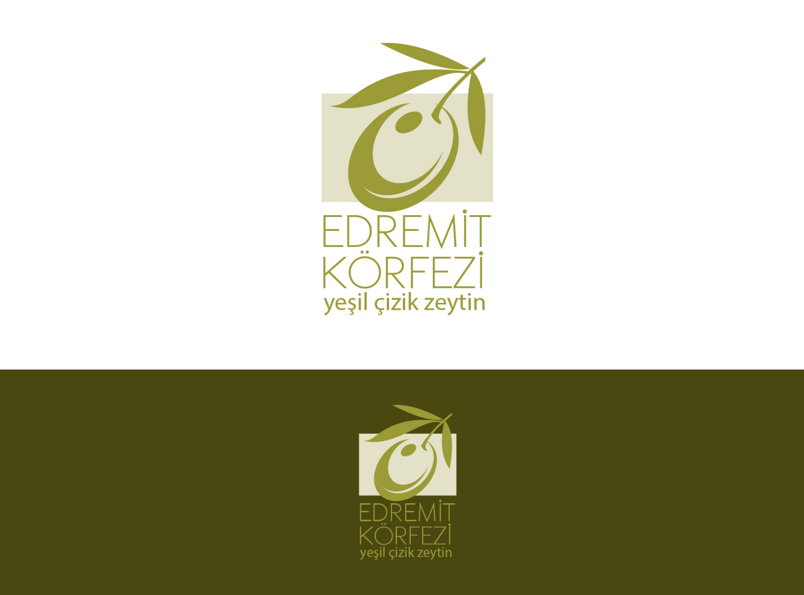 Tasarlayan nesli1-Edremit Körfezi Yeşil Çizik Zeytin