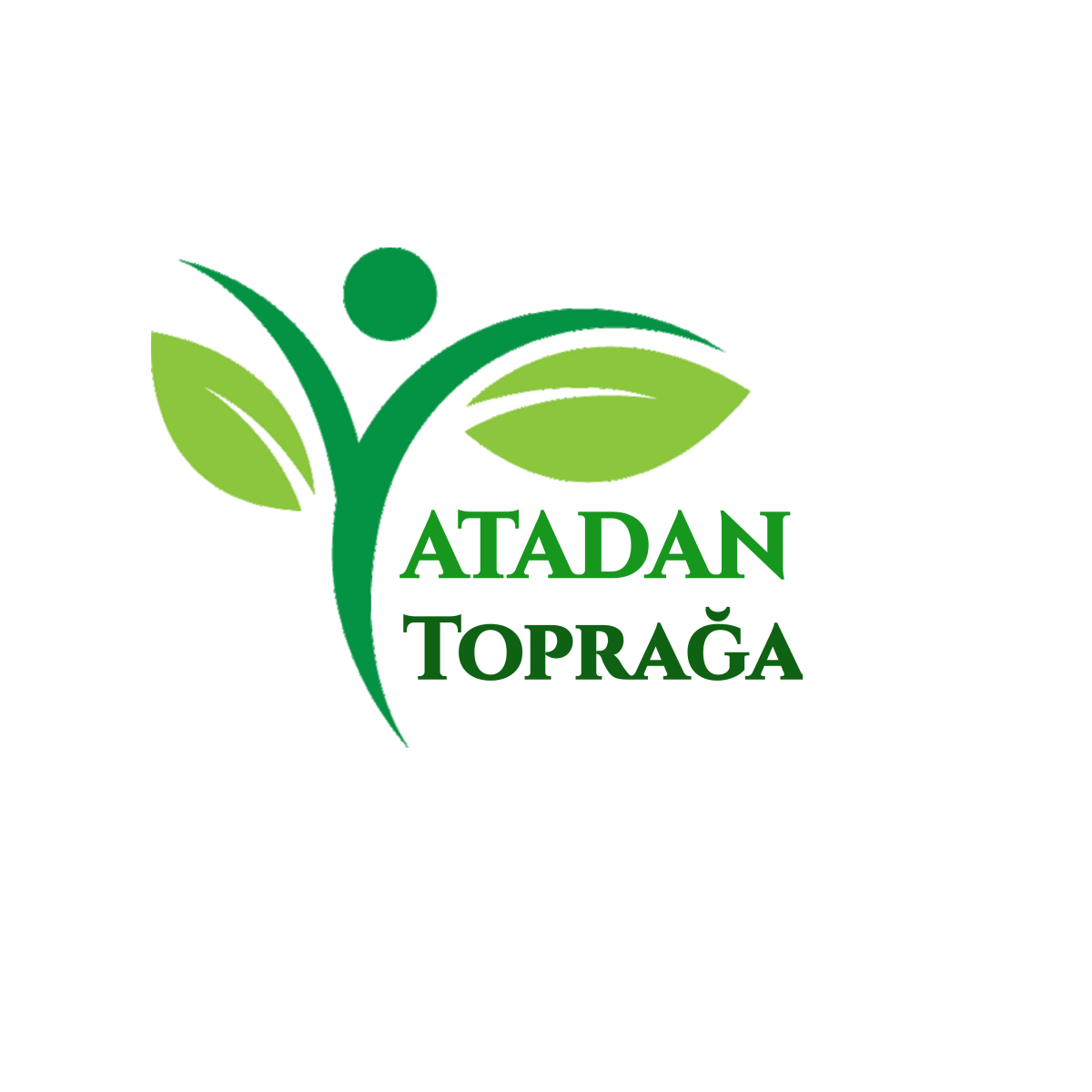 Tasarlayan erenpolat-Ata tohumu üreten girişimci 