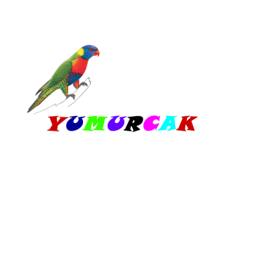 EV TEKSTİLİ yarışmasına tasarımcı antep tarafından sunulan  tasarım 