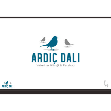 Veteriner ve Petshop  yarışmasına tasarımcı volkanKocaman tarafından sunulan  tasarım 