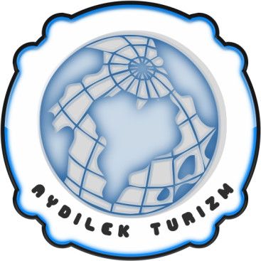 TURİZM TAŞIMA FİRMAMIZA LOGO VE KURUMSAL yarışmasına tasarımcı KnockOut tarafından sunulan  tasarım 