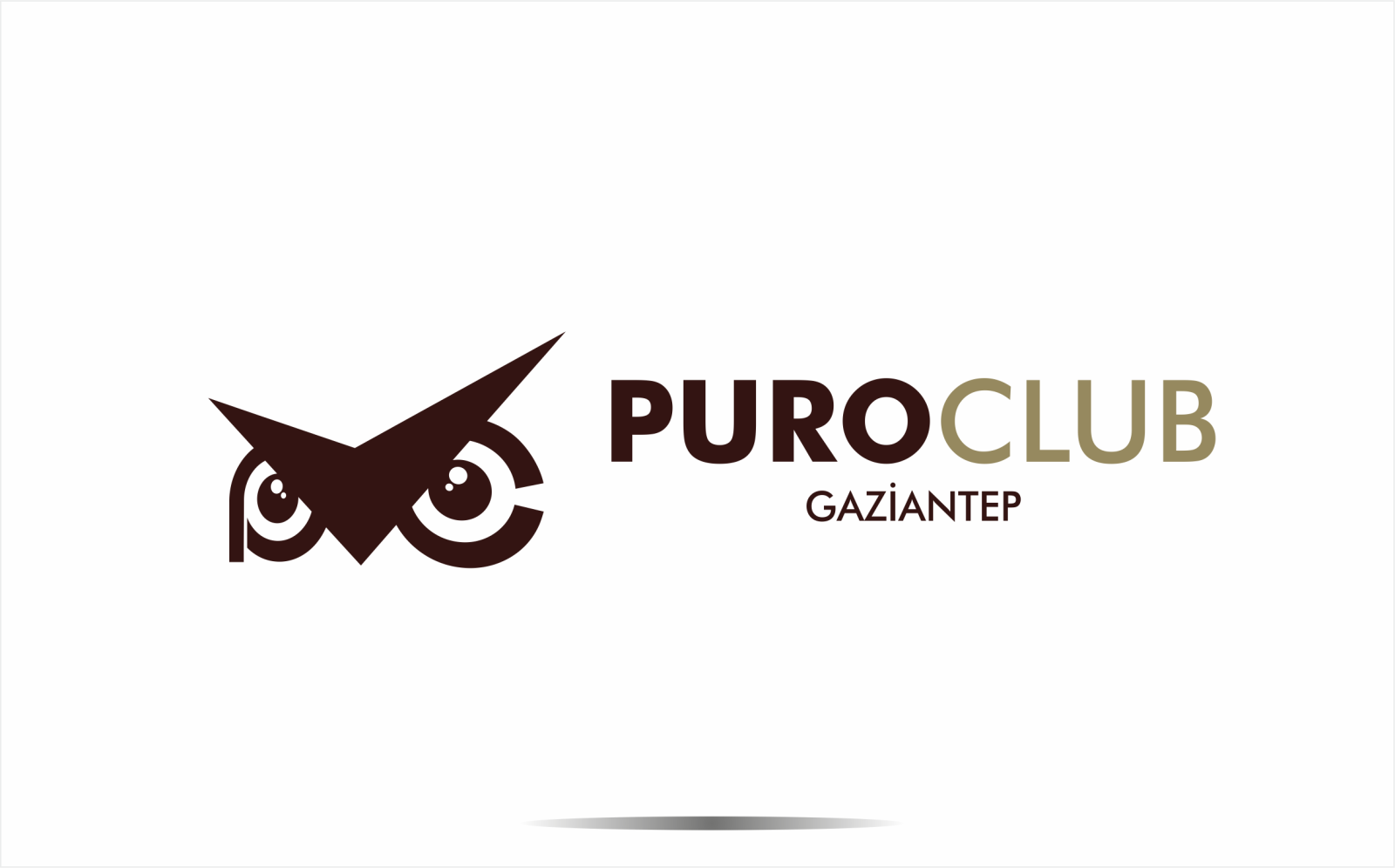 Tasarlayan ErcanH-puro kulübümüz için logo tasarlatmak 