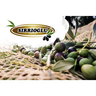 FİRMAMIZA YENİ BİR YÜZ KAZANDIRMAK...  yarışmasına tasarımcı hattori hanzo® tarafından sunulan  tasarım 