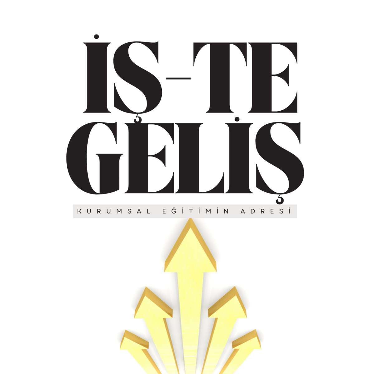 Tasarlayan Merff-Gelişimin bir parçası olabilirsin!