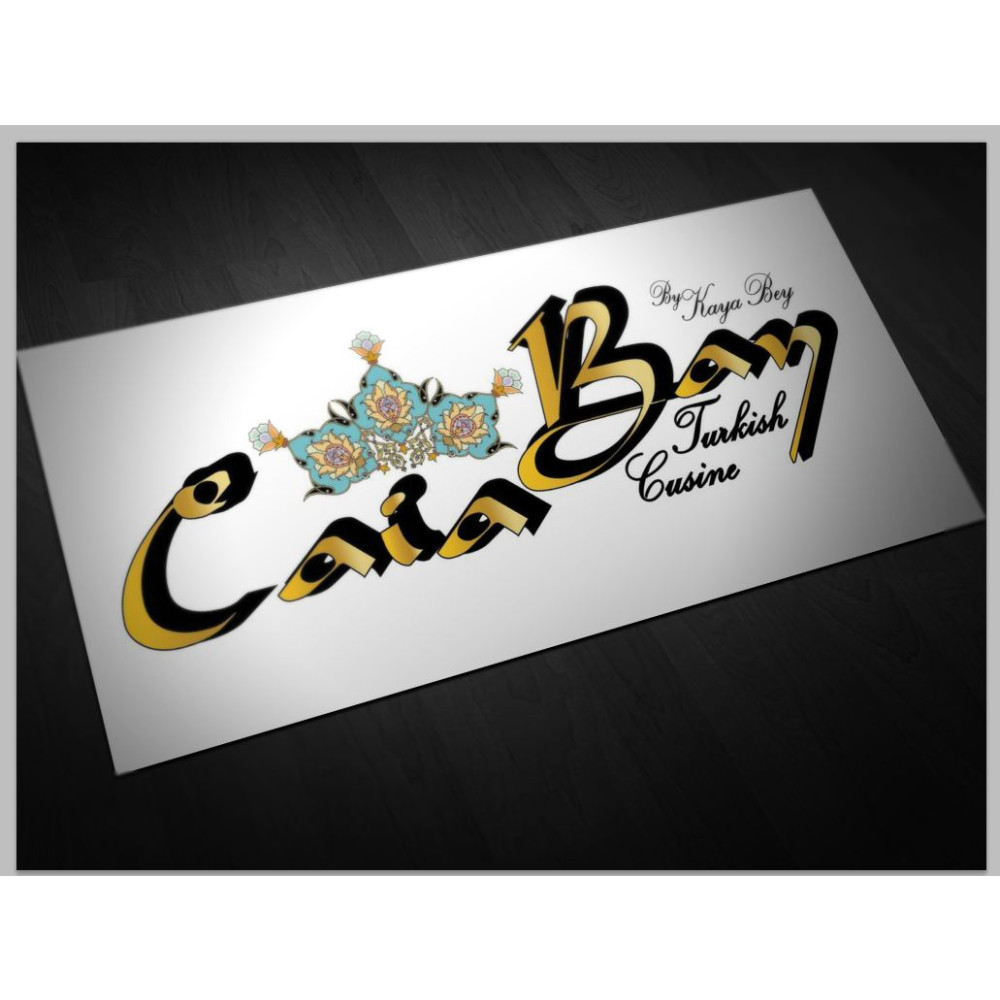 MODERN ŞIK BİR LOGO ARIYORUZ