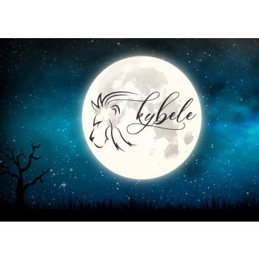 Hediyelik Eşya - Otantik Mağaza yarışmasına tasarımcı b&b Design tarafından sunulan  tasarım 