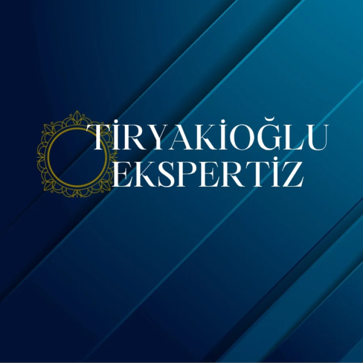 Tasarlayan Berat Öztürk-Tiryakioğlu Ekspertiz - LOGO