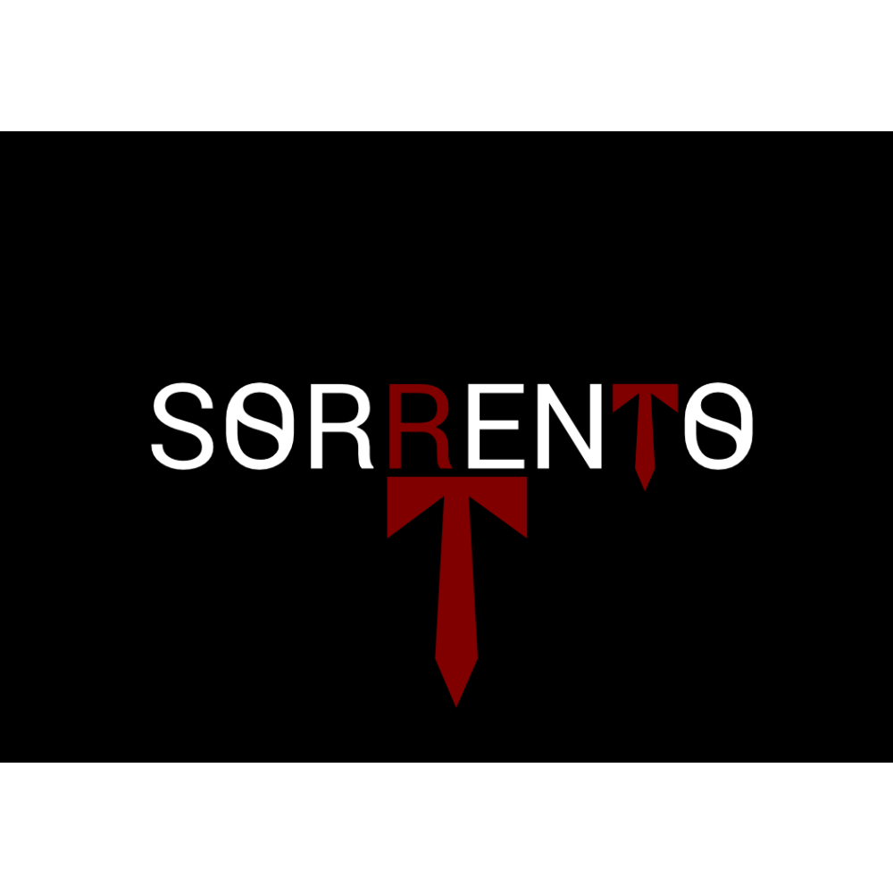 Gömlek firmasına Logo arıyoruz. yarışmasına synthopsis tarafından girilen tasarım
