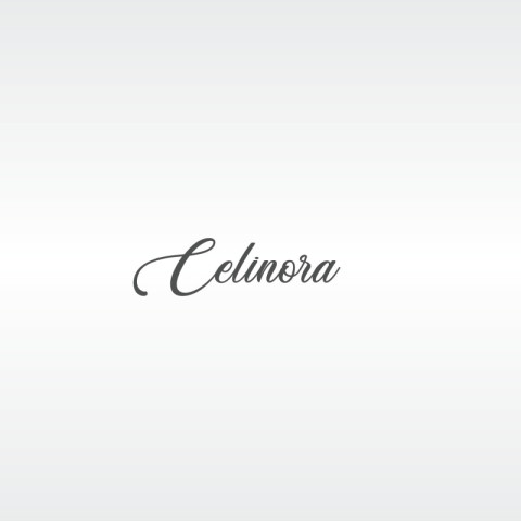 Celinora markamıza logo arıyoruz. 