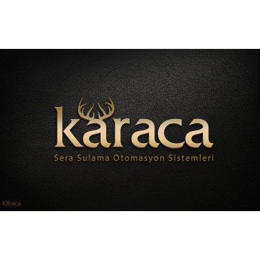 SADE VE ETKİLİ LOGO ARIYORUZ  yarışmasına tasarımcı reng tarafından sunulan  tasarım 