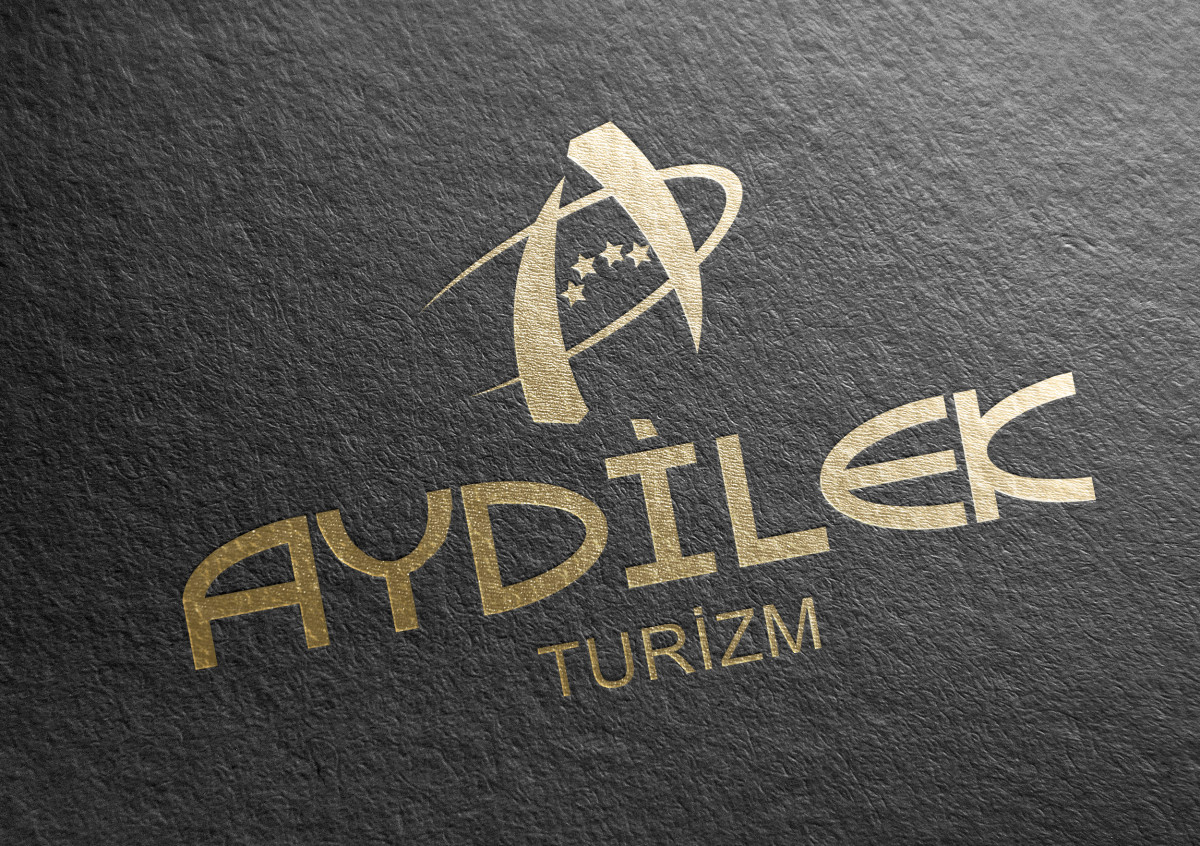 Tasarlayan siliconvalley-TURİZM TAŞIMA FİRMAMIZA LOGO VE KURUMSAL