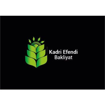 Kadri efendi yarışmasına tasarımcı BedriyePAKIR tarafından sunulan  tasarım 