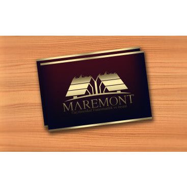 Firma İçin Logo ve Kartvizit Çalışması  yarışmasına tasarımcı grfkismail tarafından sunulan  tasarım 