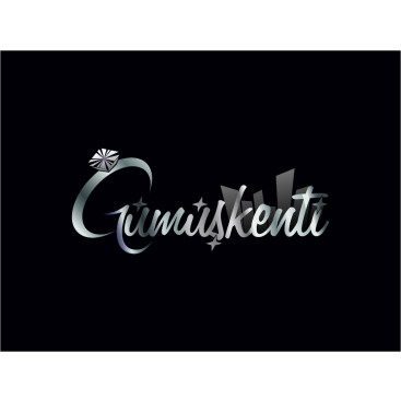 Modern ilgi çekici logo arıyoruz. yarışmasına tasarımcı g-barkin-nazli tarafından sunulan  tasarım 