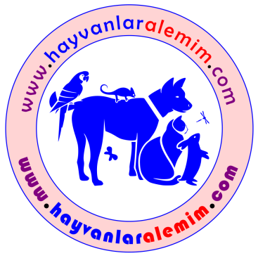 Hayvanlara Dair Herşey !!!  yarışmasına tasarımcı Ram_Tas tarafından sunulan  tasarım 