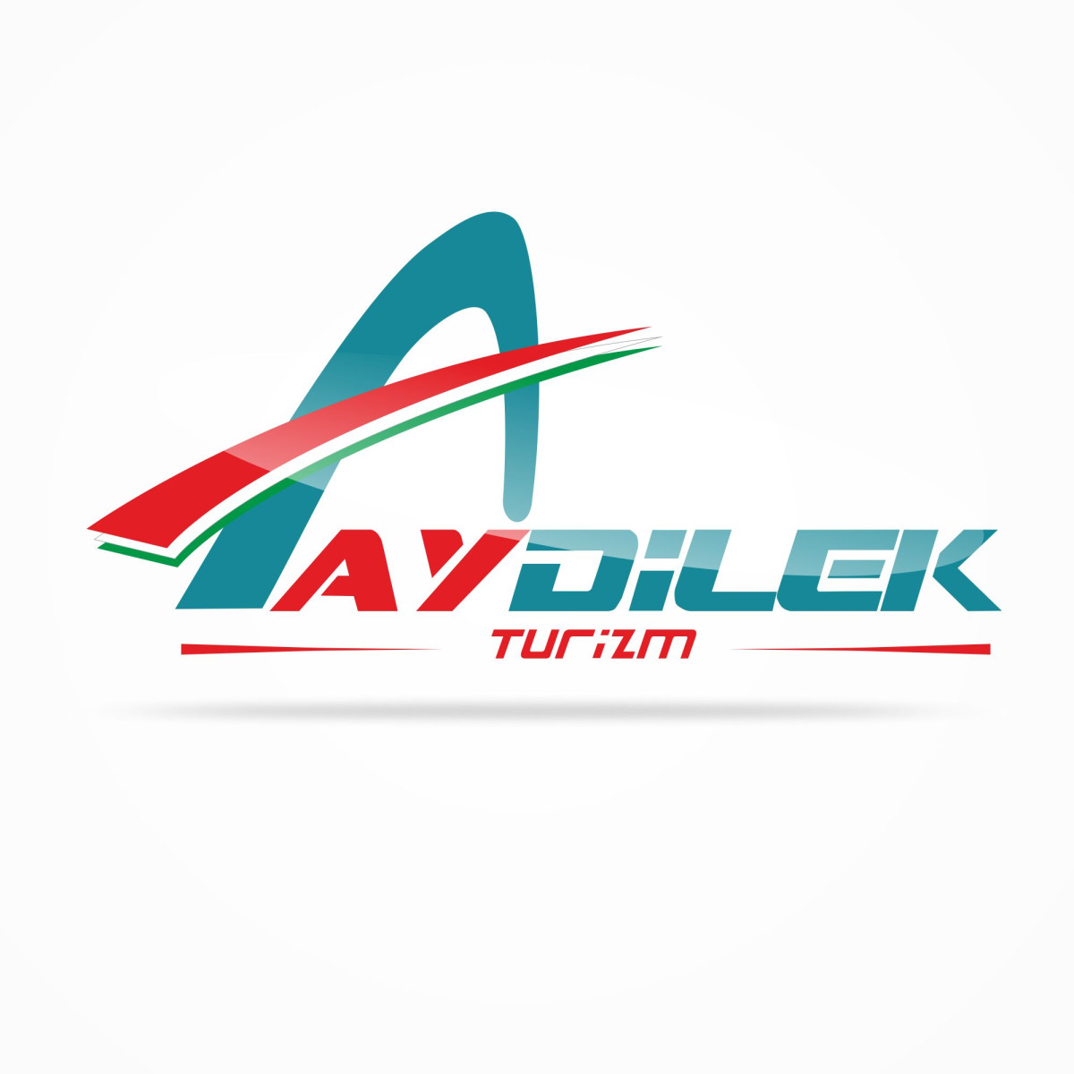 Tasarlayan Kızılelma_03-TURİZM TAŞIMA FİRMAMIZA LOGO VE KURUMSAL