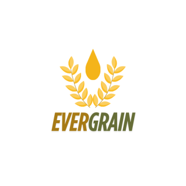 EverGrain LLC yarışmasına tasarımcı tasarım_logo tarafından sunulan  tasarım 