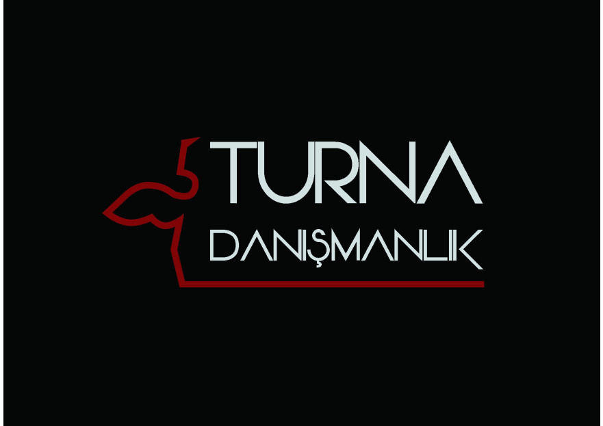 Danışmanlık Şirketi Logo Tasarımı yarışmasına tasarımcı btd tarafından sunulan  tasarım 