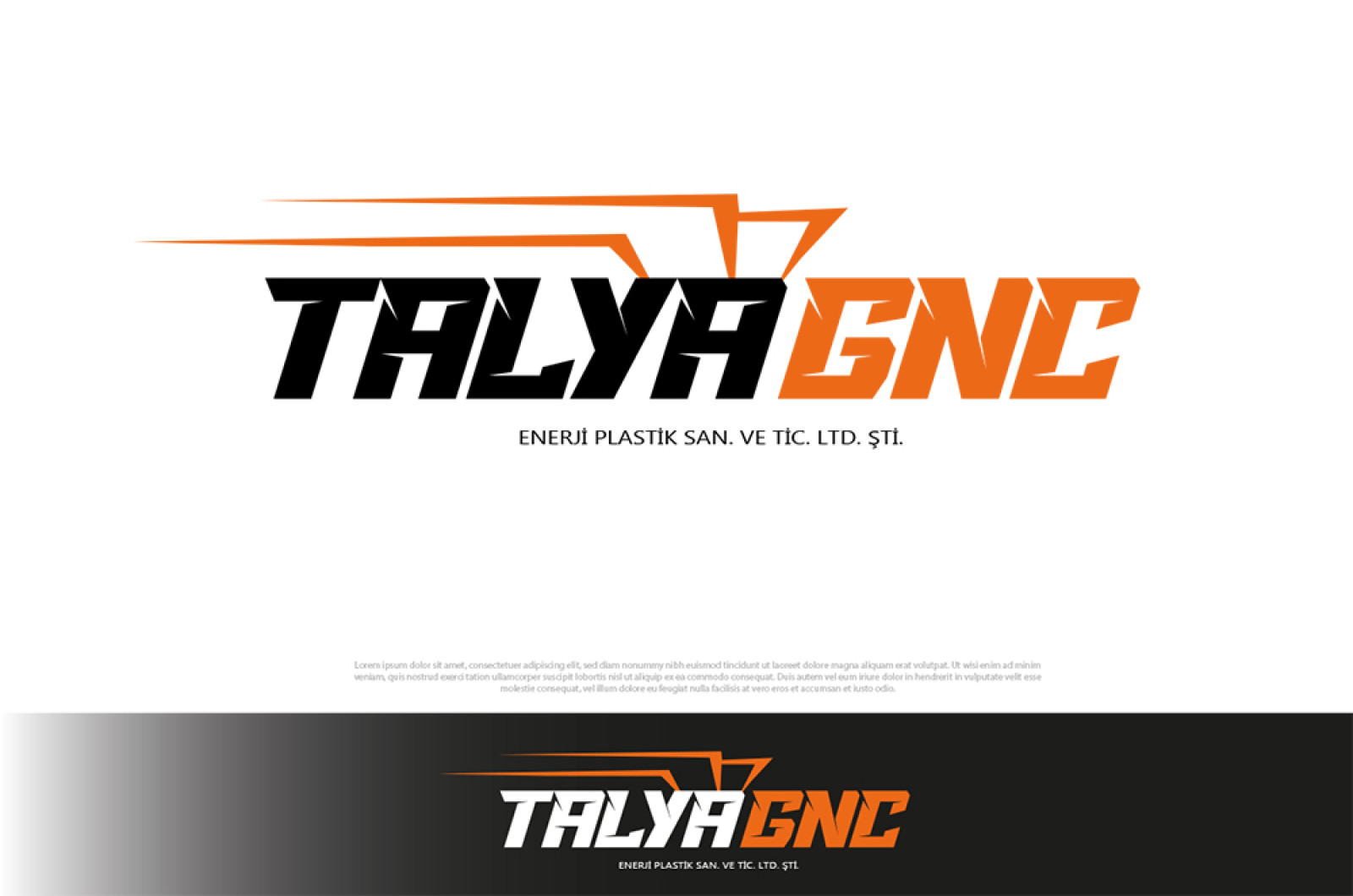 Tasarlayan 8888-Firmamız için logo ihtiyacı