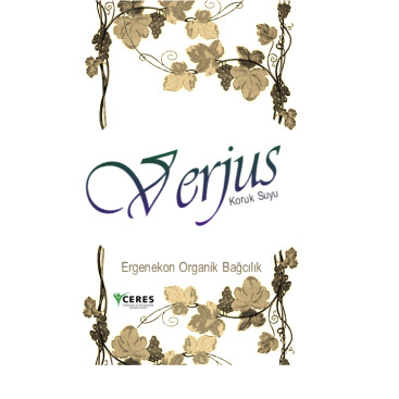 Verjus yarışmasına tasarımcı Şen tarafından sunulan  tasarım 