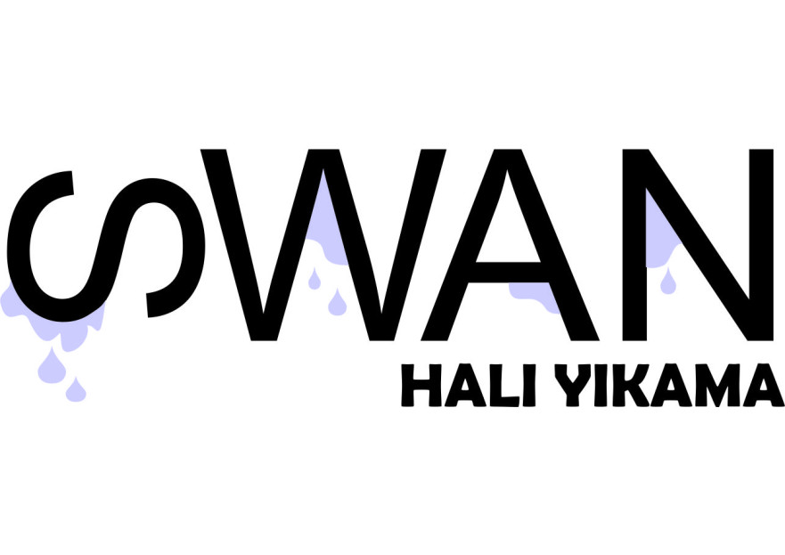 HALI YIKAMA FİRMASI LOGOSUNU ARIYOR yarışmasına tasarımcı bus_ozen tarafından sunulan  tasarım 