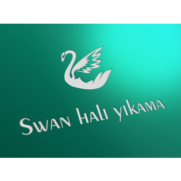 HALI YIKAMA FİRMASI LOGOSUNU ARIYOR yarışmasına tasarımcı Kalem tarafından sunulan  tasarım 