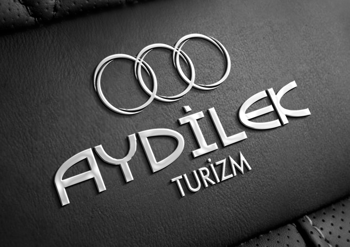 Tasarlayan siliconvalley-TURİZM TAŞIMA FİRMAMIZA LOGO VE KURUMSAL