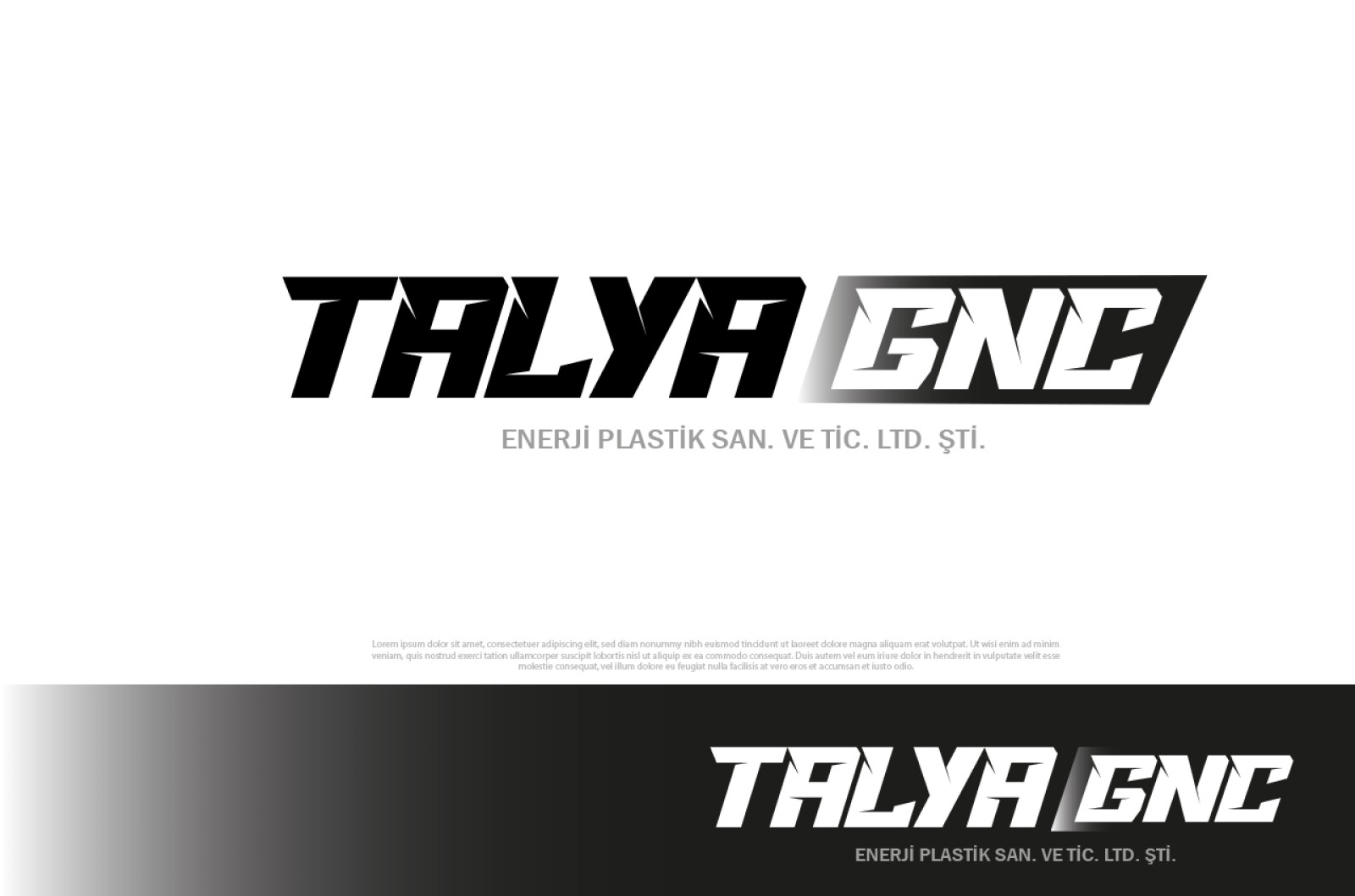 Tasarlayan 8888-Firmamız için logo ihtiyacı