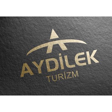 TURİZM TAŞIMA FİRMAMIZA LOGO VE KURUMSAL yarışmasına tasarımcı siliconvalley tarafından sunulan  tasarım 