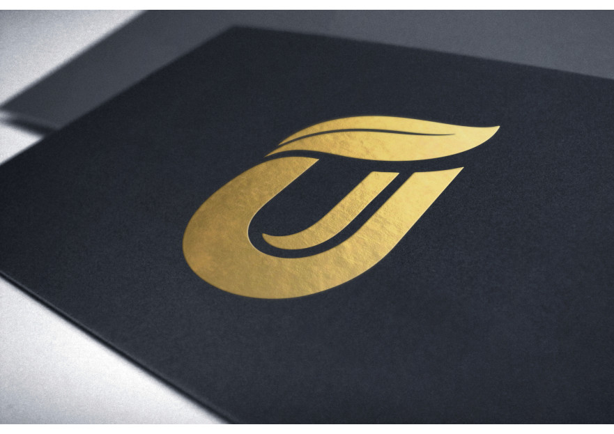 AİLE ŞİRKETİMİZ İÇİN ULUS'A YAKIŞIR LOGO yarışmasına tasarımcı zydesign tarafından sunulan  tasarım 