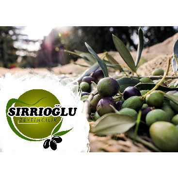 FİRMAMIZA YENİ BİR YÜZ KAZANDIRMAK...  yarışmasına tasarımcı hattori hanzo® tarafından sunulan  tasarım 