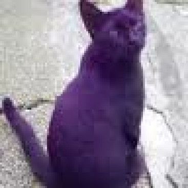 TAMAMEN KURGUSAL ÖRNEK BİR YARIŞMADIR  yarışmasına tasarımcı Logo Tasarım tarafından sunulan  tasarım 